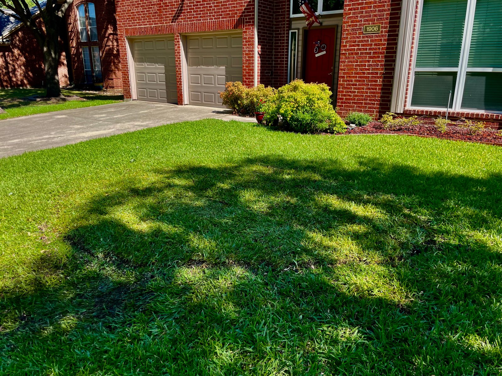 The same stump removed and replaced with new grass and sod