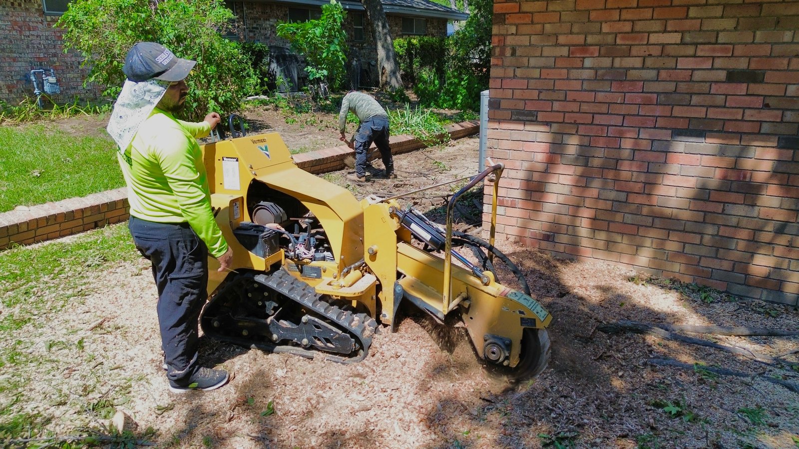 Mr. Sierra removing a stump with a stump grinder