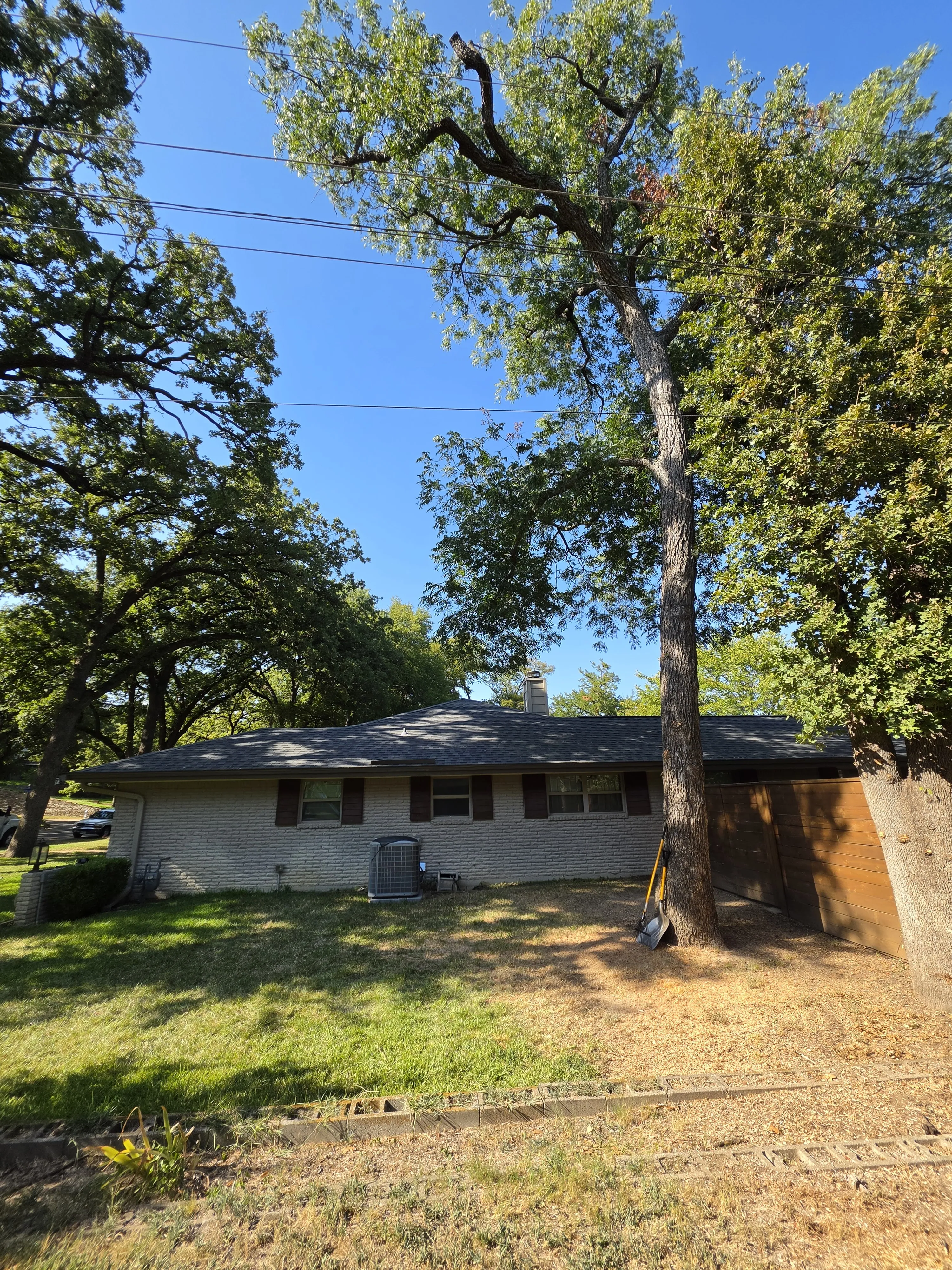 Property after tree removal in Hurst, TX